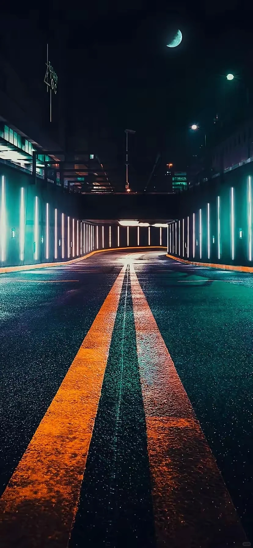 【手机壁纸分享】2025.12.6