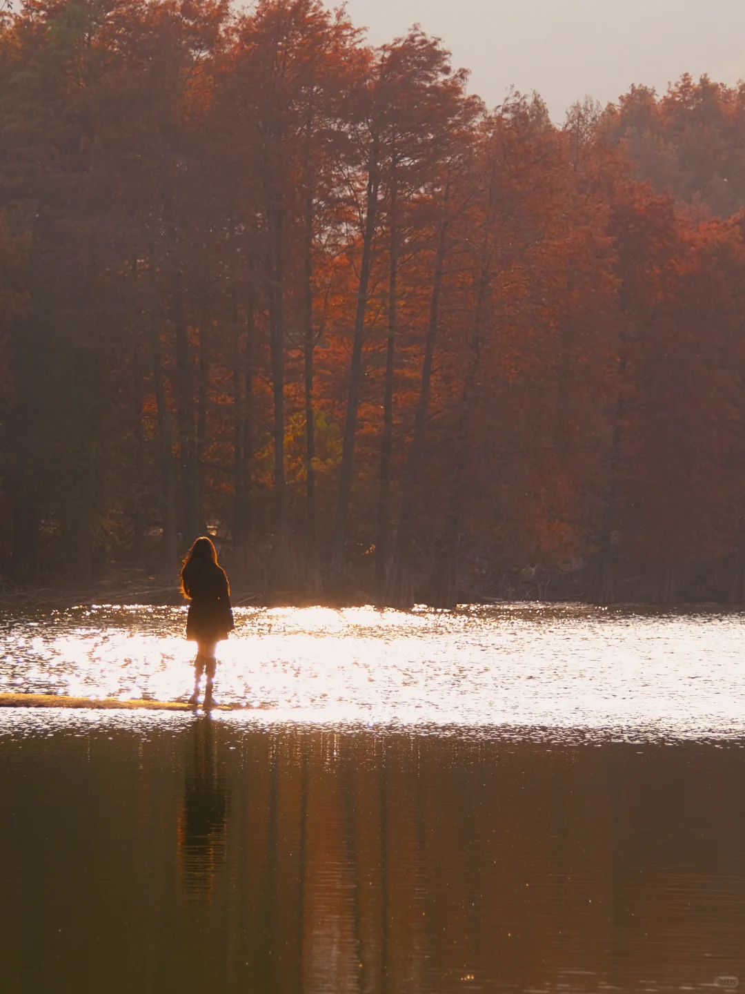 12.7下午3点左右麻岙水库偶遇美少女