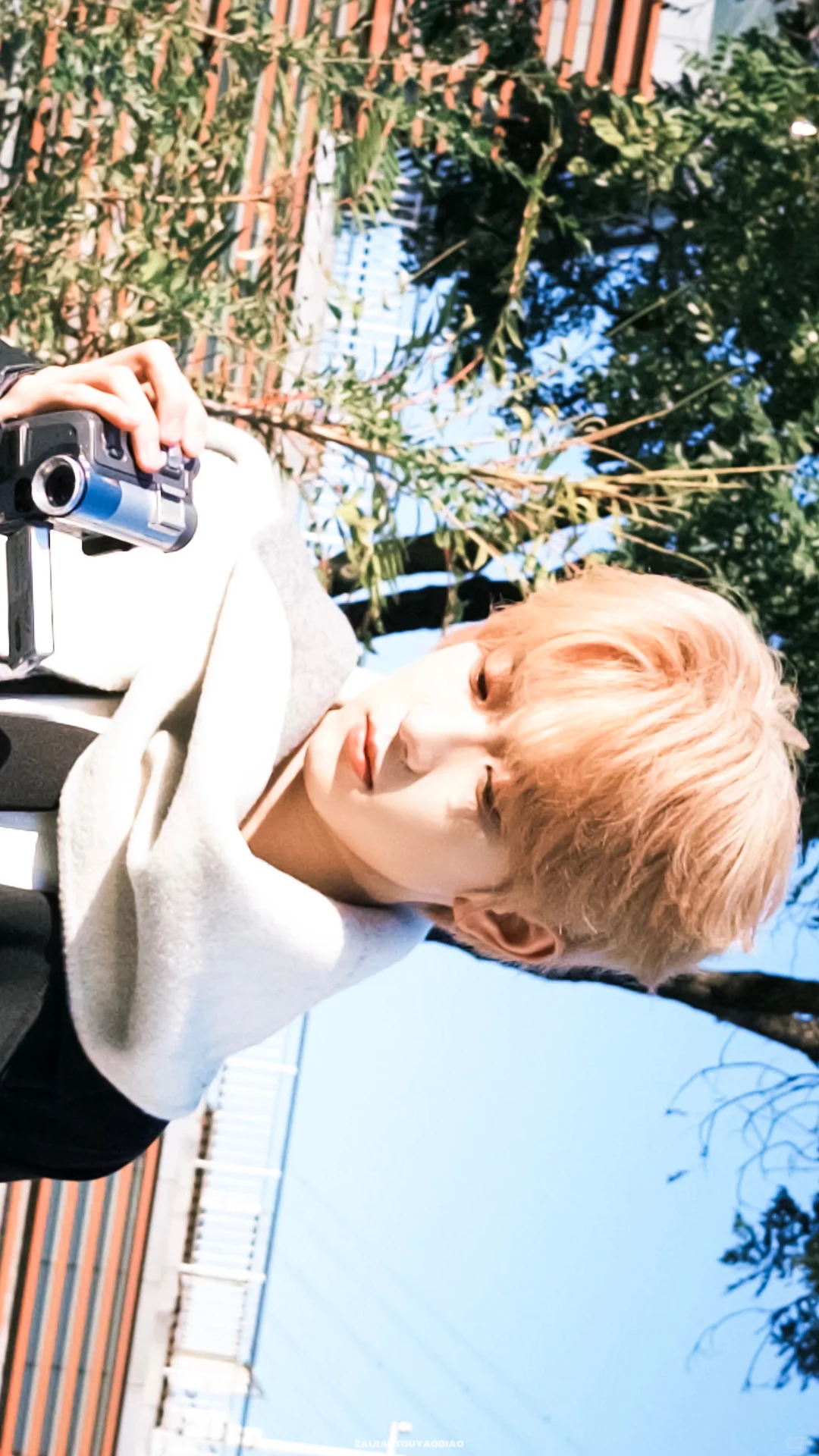 Share壁纸｜阳光下☀️