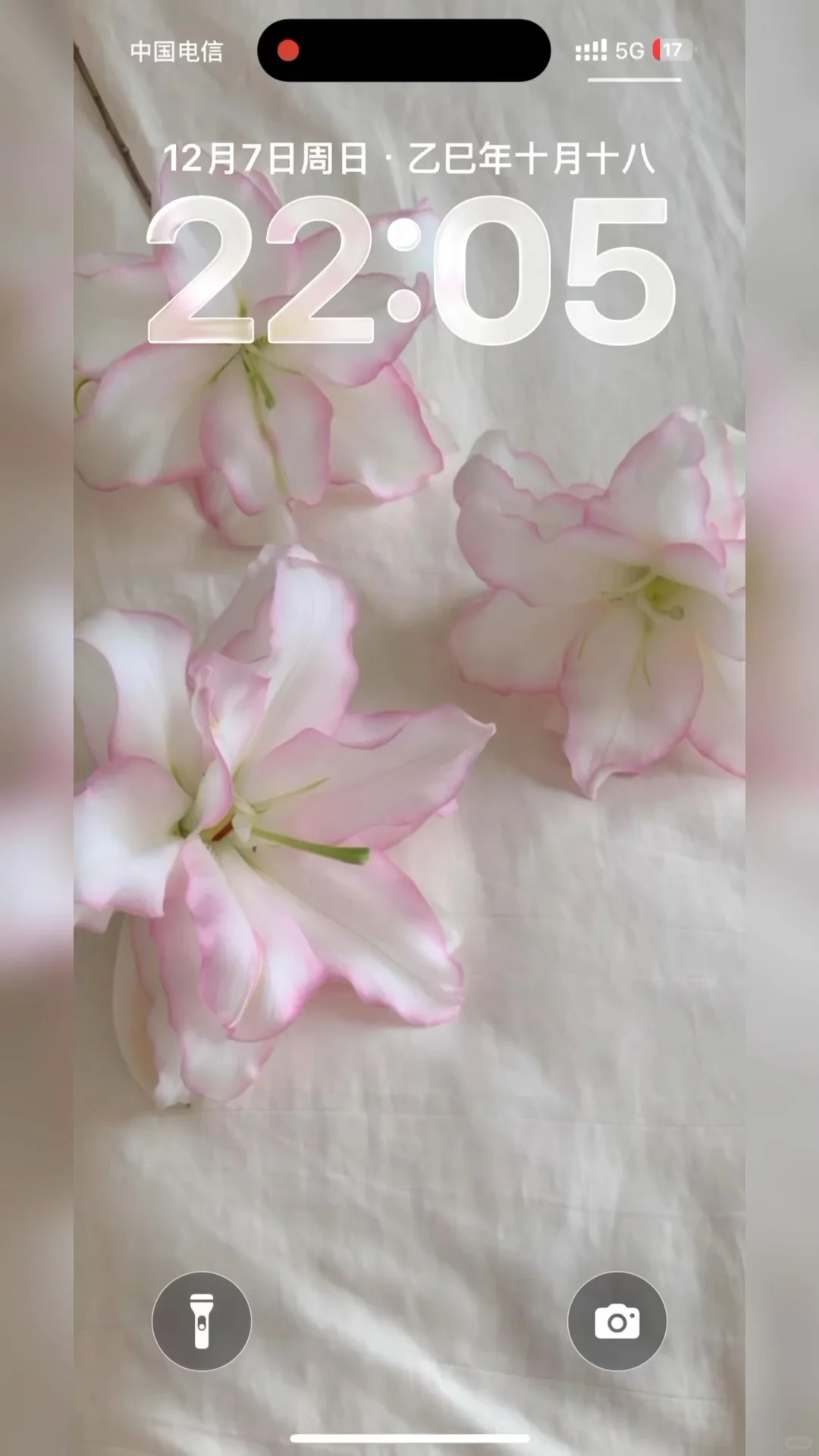 小众又好看的壁纸来啦～