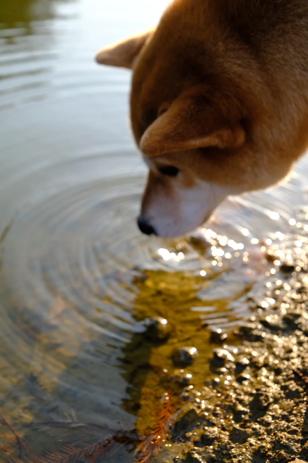12.7下午3点左右麻岙水库偶遇美少女