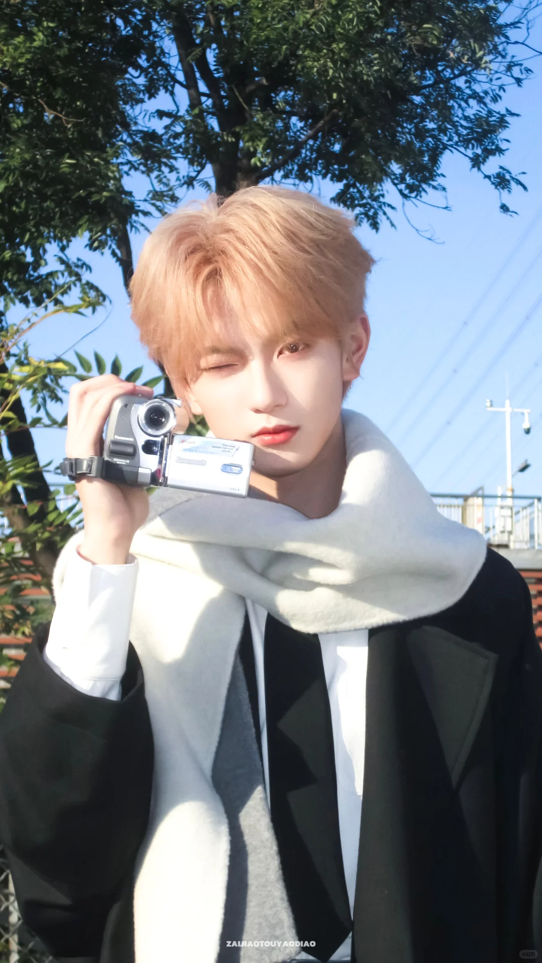 Share壁纸｜阳光下☀️