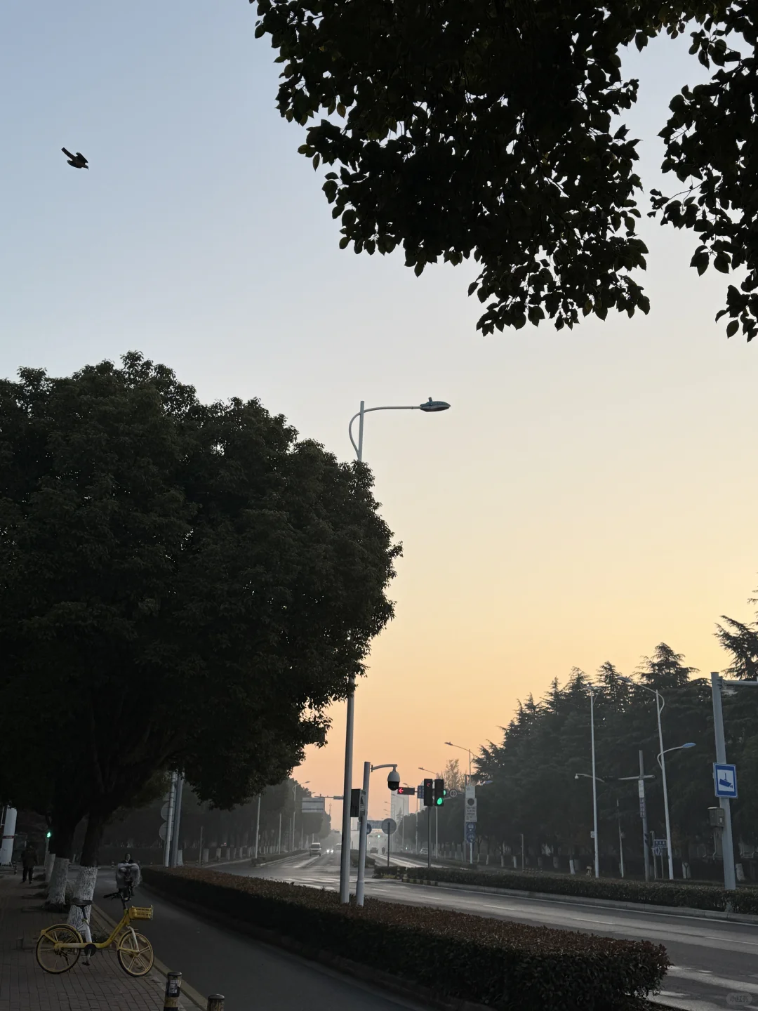 图片壁纸 分享随手拍