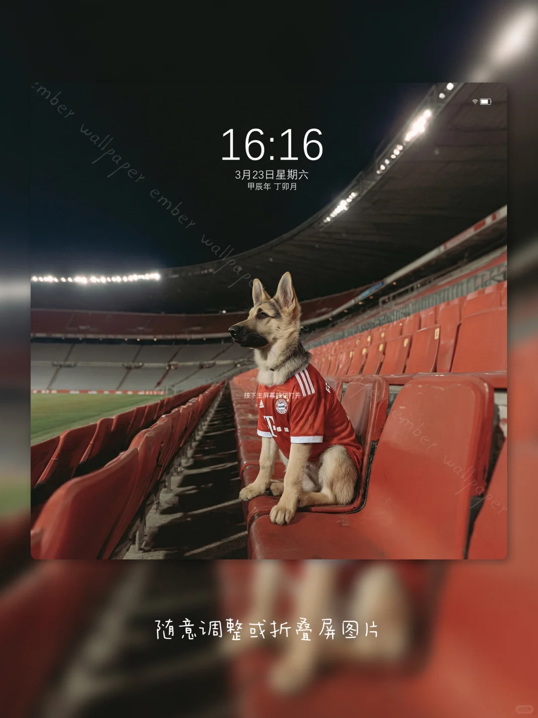 拜仁新援登场🐾⚽️ 168
