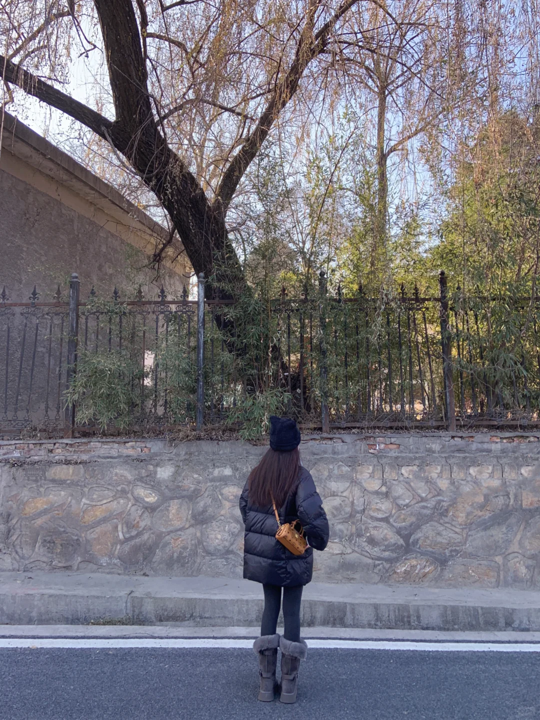 黑灰调调🐕‍🦺