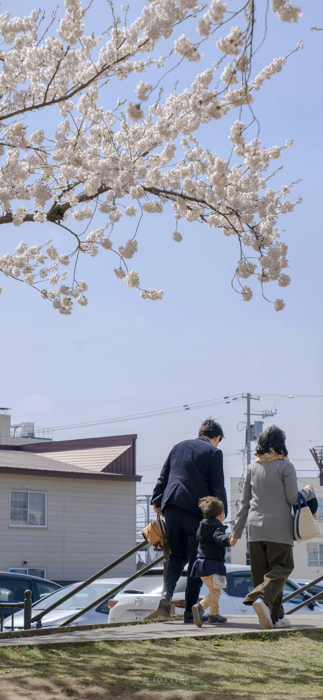 Share·壁纸｜日系壁纸