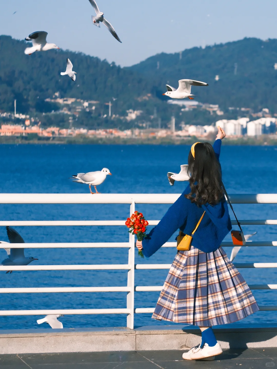 海边拍照 蓝调时刻🎞️冬天与海鸥都如约而至