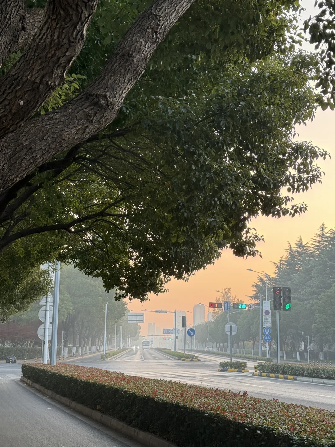 图片壁纸 分享随手拍