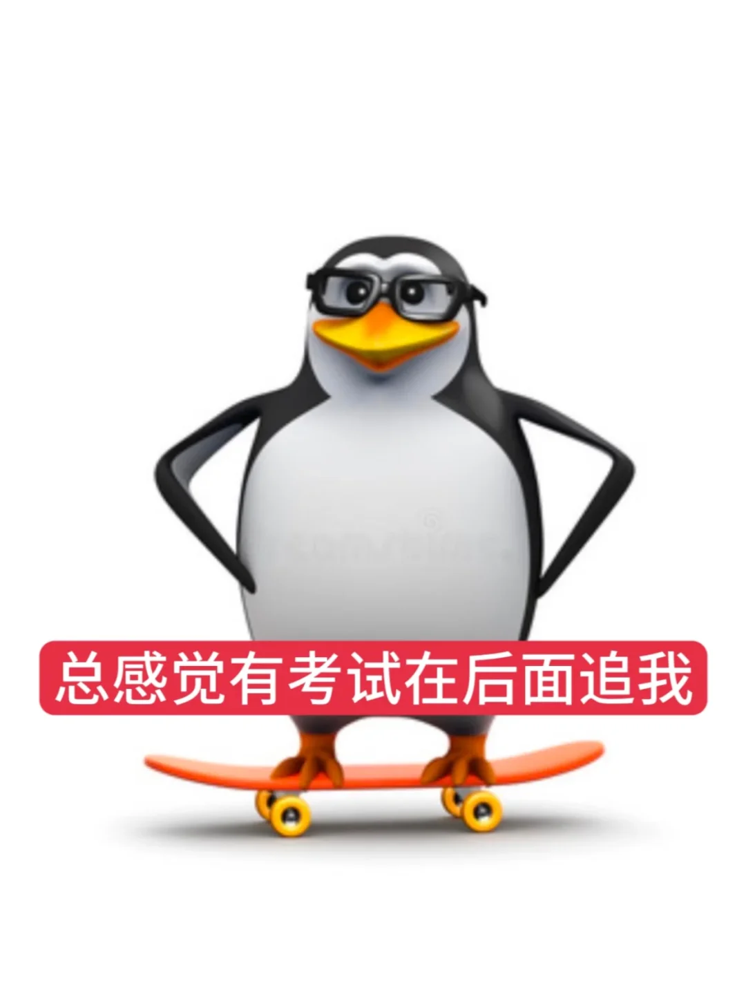 教资面试专用表情包