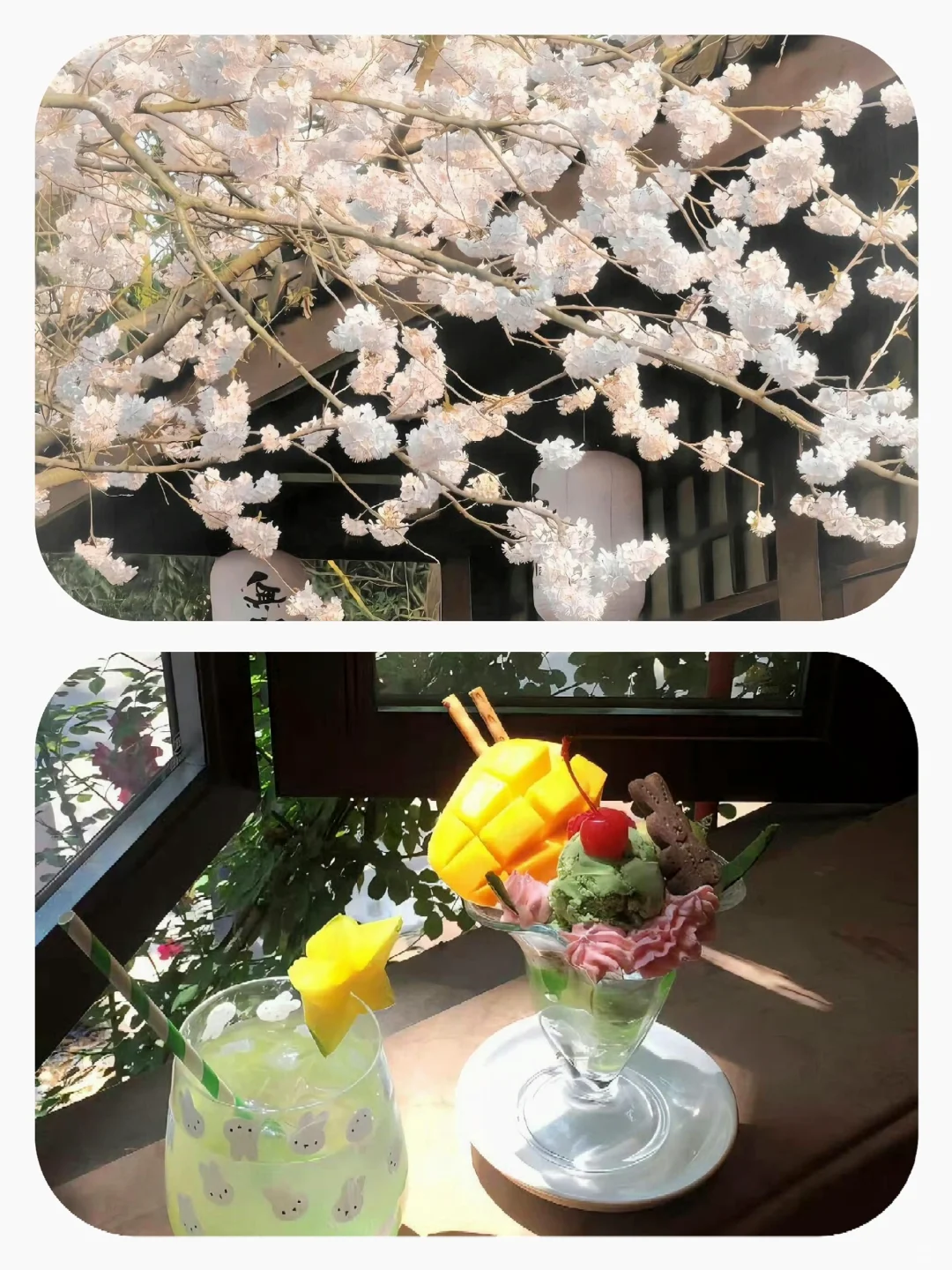 Share｜12张背景图