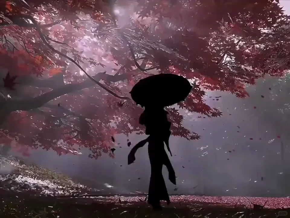 平板and手机动态壁纸分享