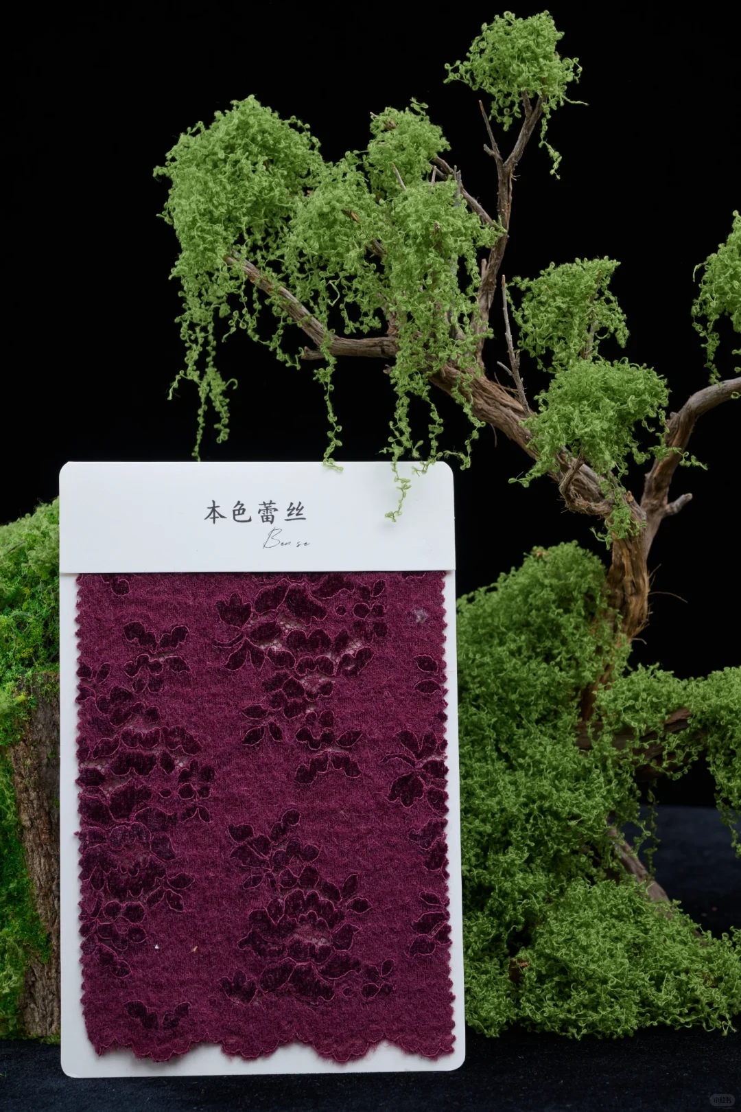 这种质感的花真的爱了|秋冬蕾丝的魅力✨