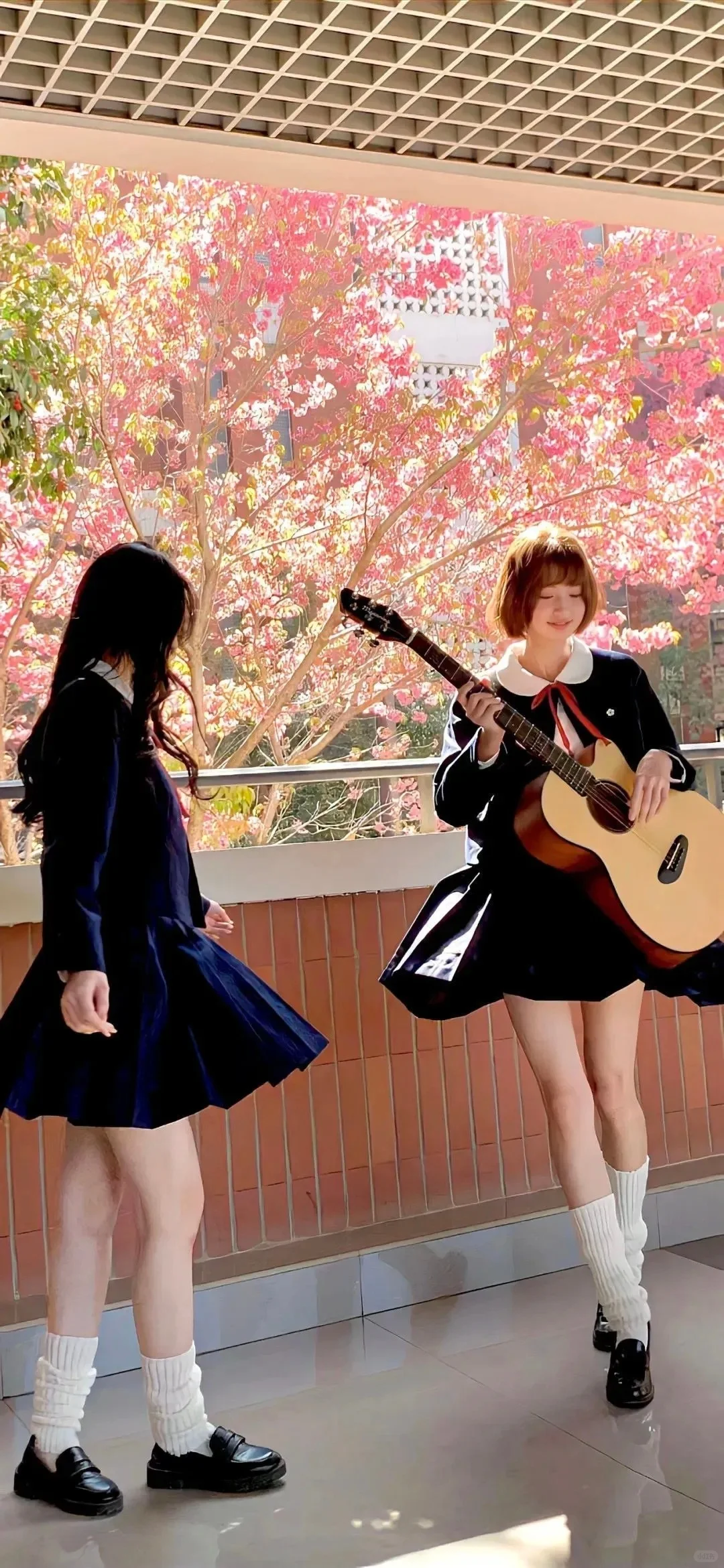 壁纸｜干净自由4K高清手机