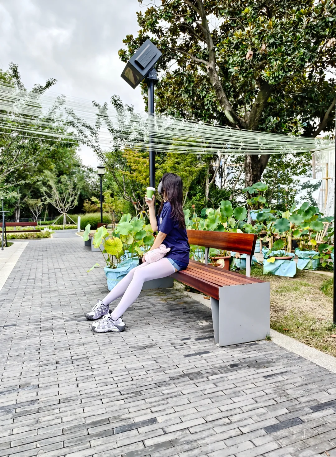 喝☕️，被草坪绊倒了谁来救救我｜隐秘咖馆