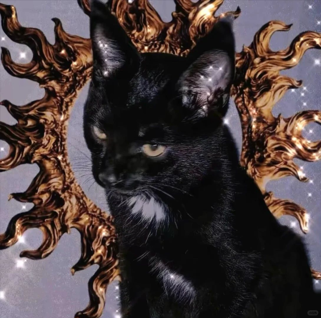 女朋友来认领一下吧