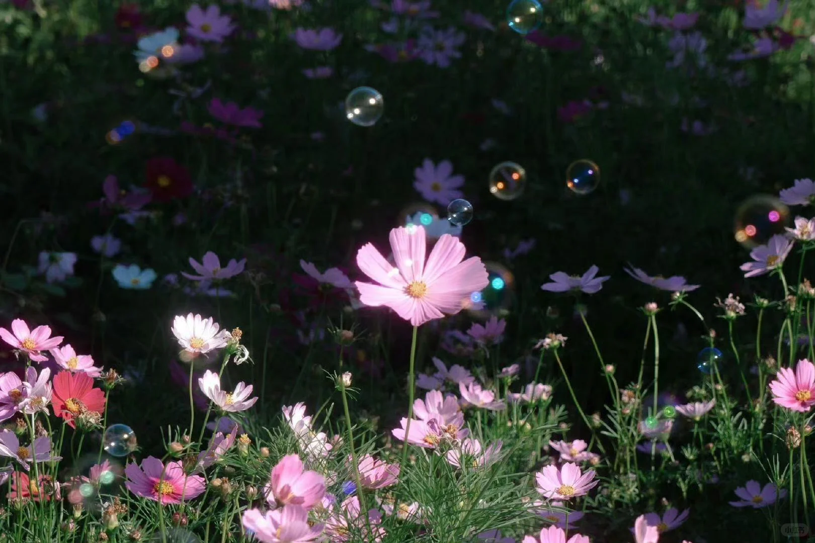 超高清电脑壁纸ipad壁纸