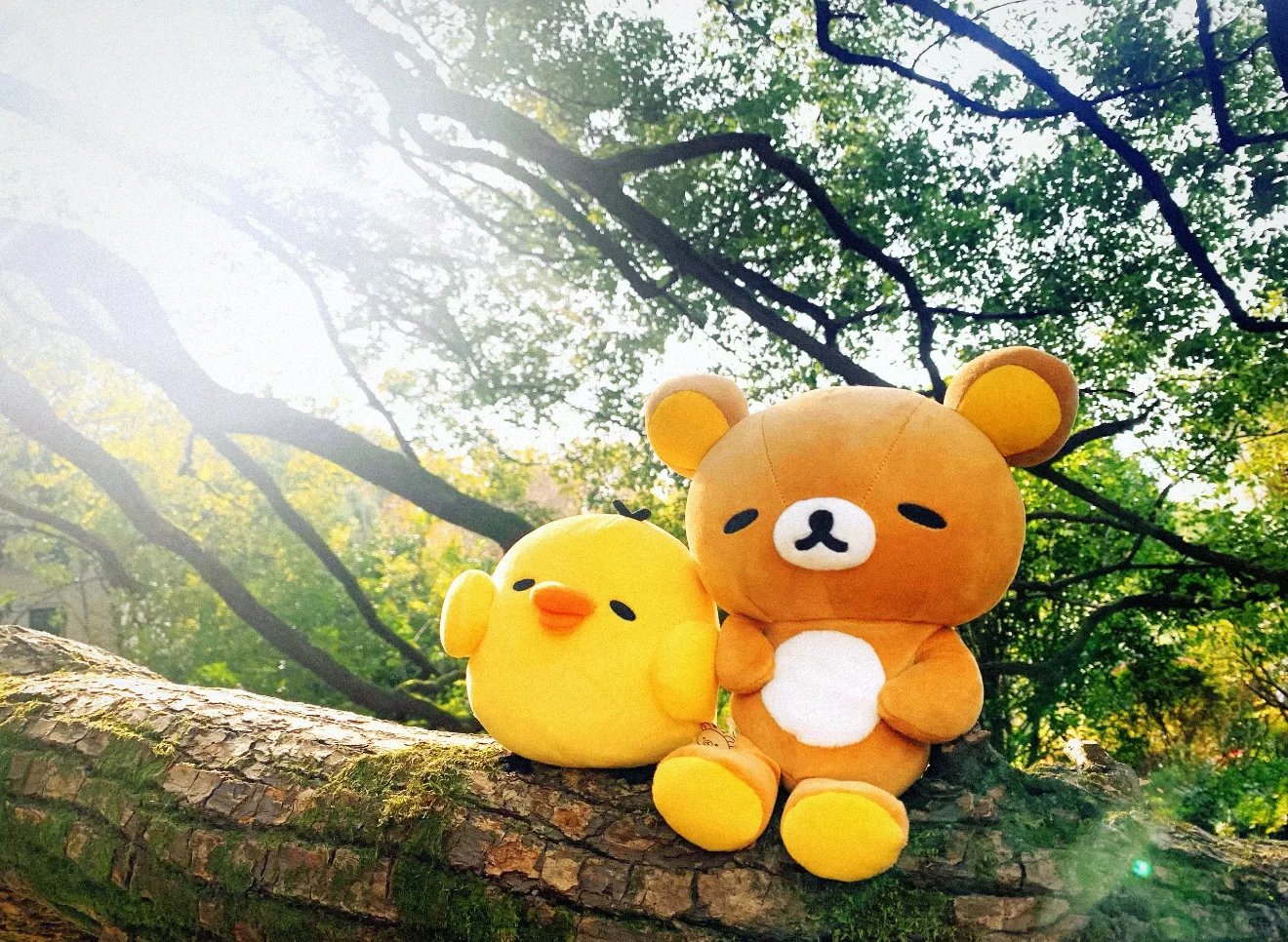 Share 拼接壁纸 ʕ •ᴥ•ʔ