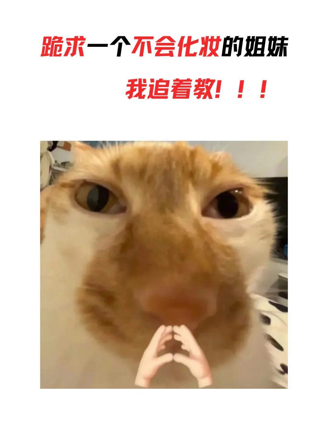 方圆脸姐妹都大胆化妆！！