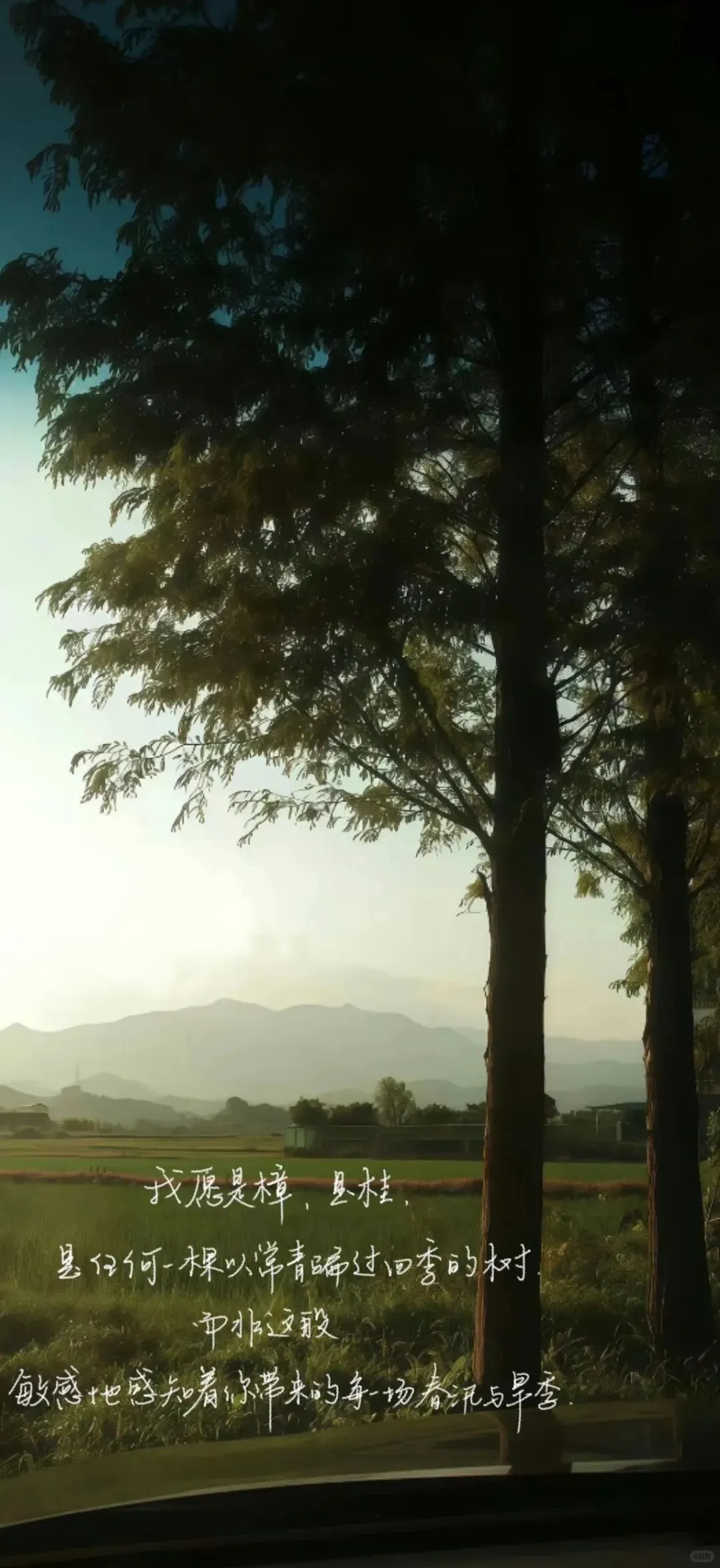 冬日氛围感4k手机壁纸