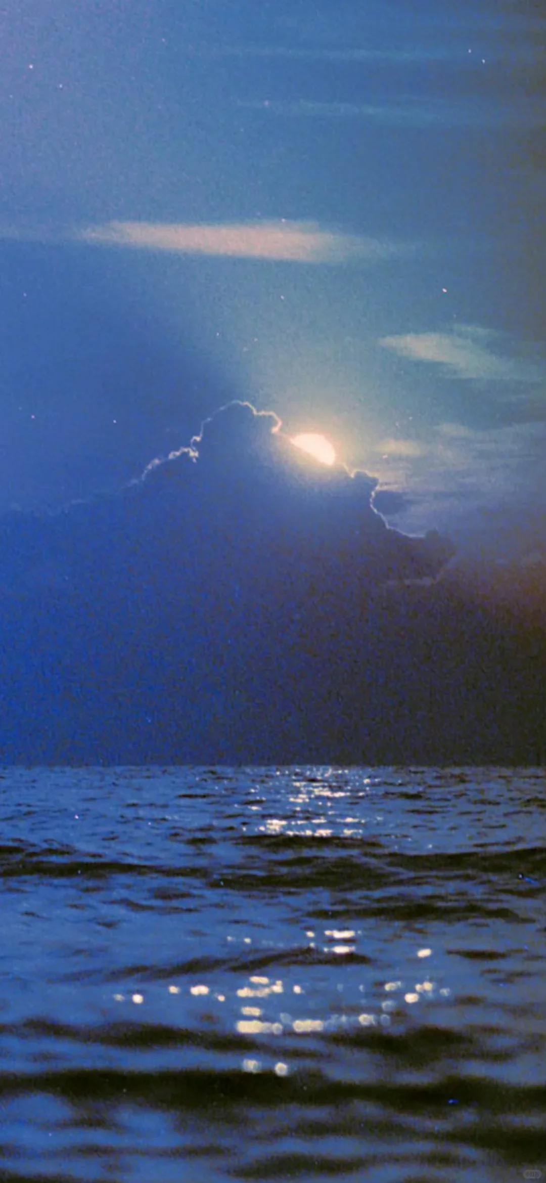 𝑺𝒉𝒂𝒓𝒆 | 小众壁纸