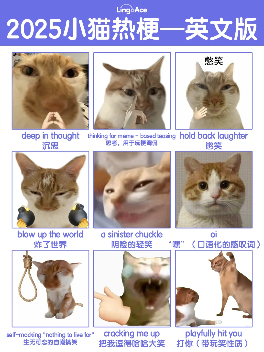 🐱小猫热梗表情包用英语咋说？
