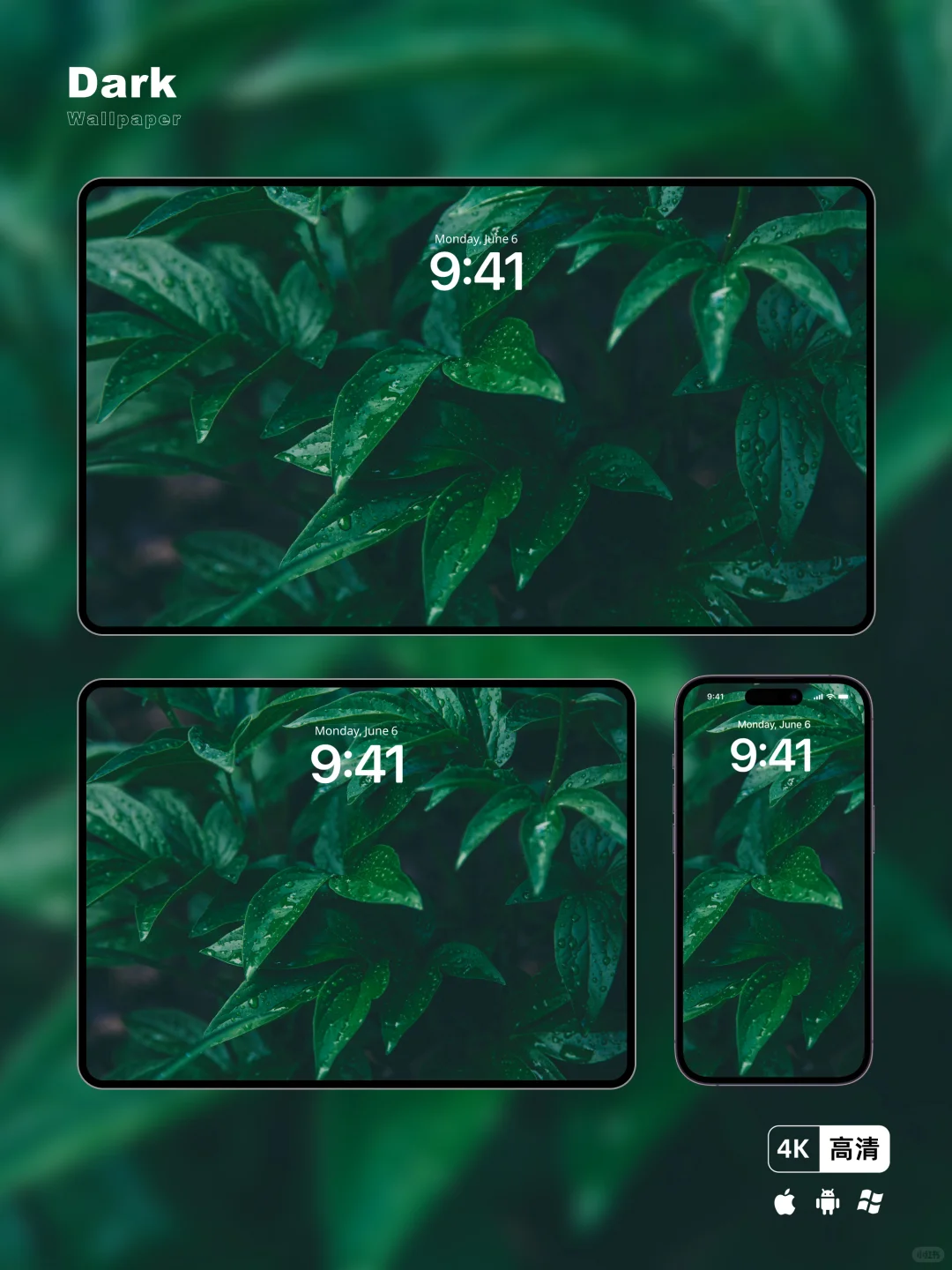 每日壁纸｜绿叶｜手机平板电脑壁纸