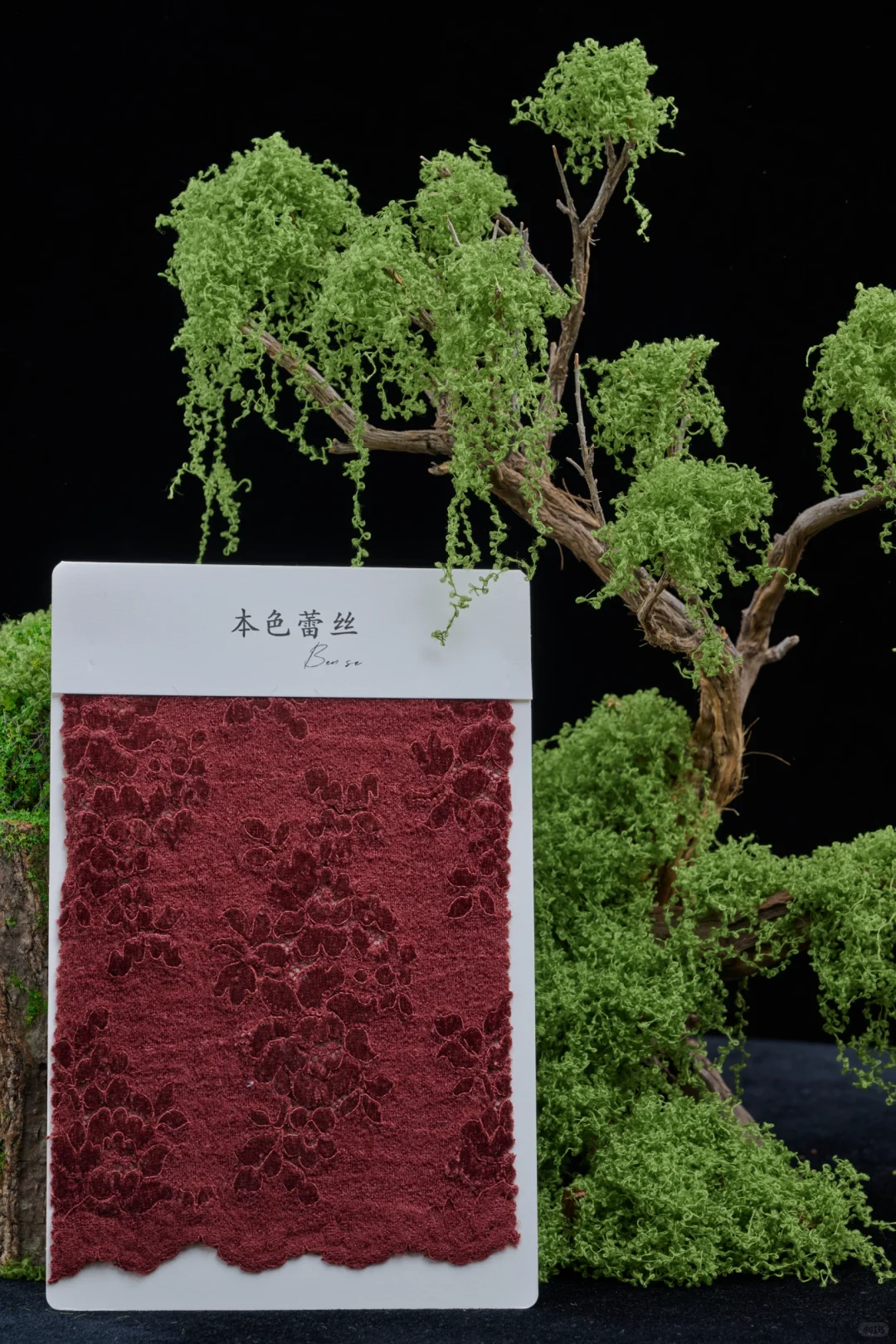 这种质感的花真的爱了|秋冬蕾丝的魅力✨