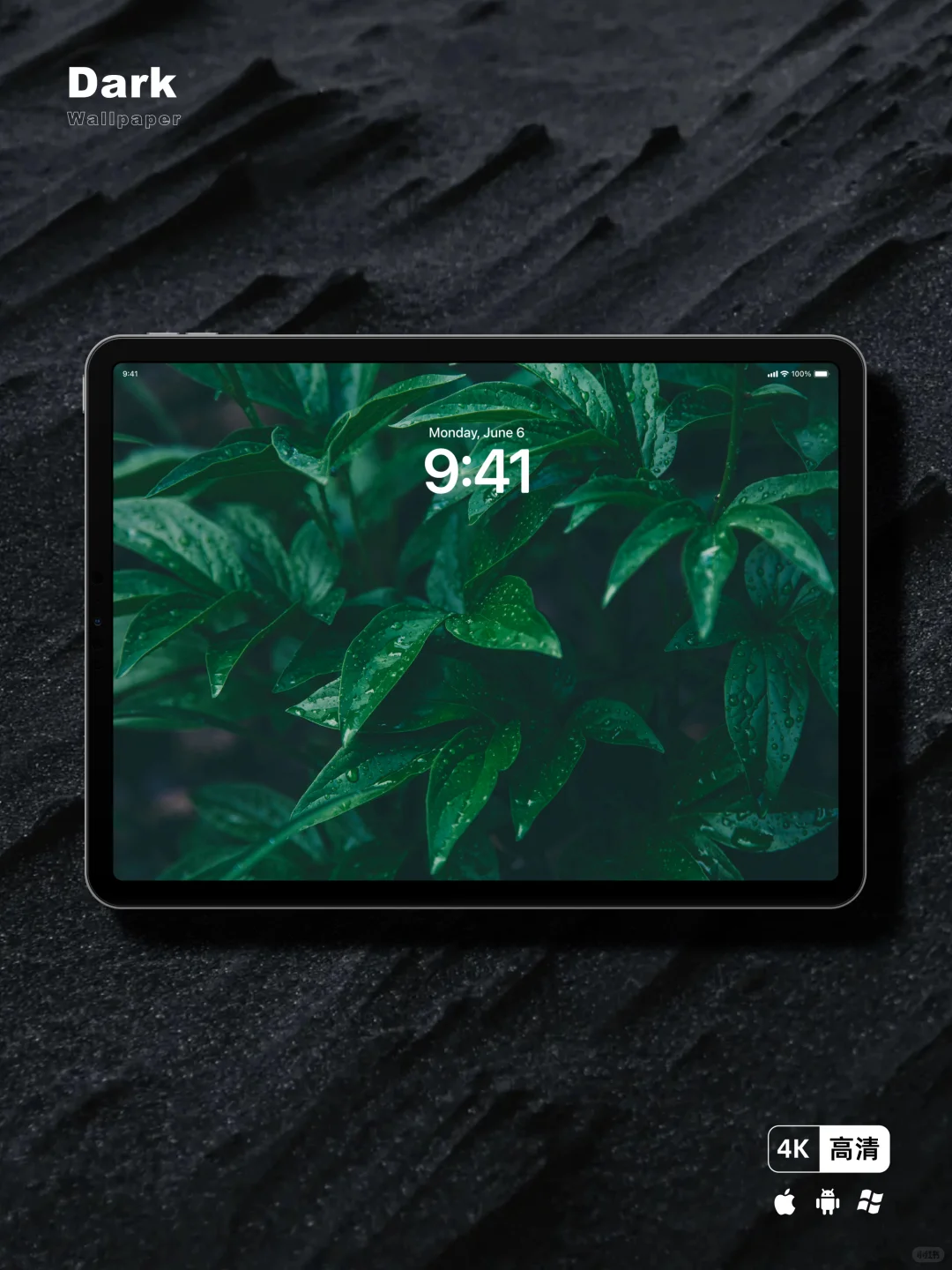 每日壁纸｜绿叶｜手机平板电脑壁纸