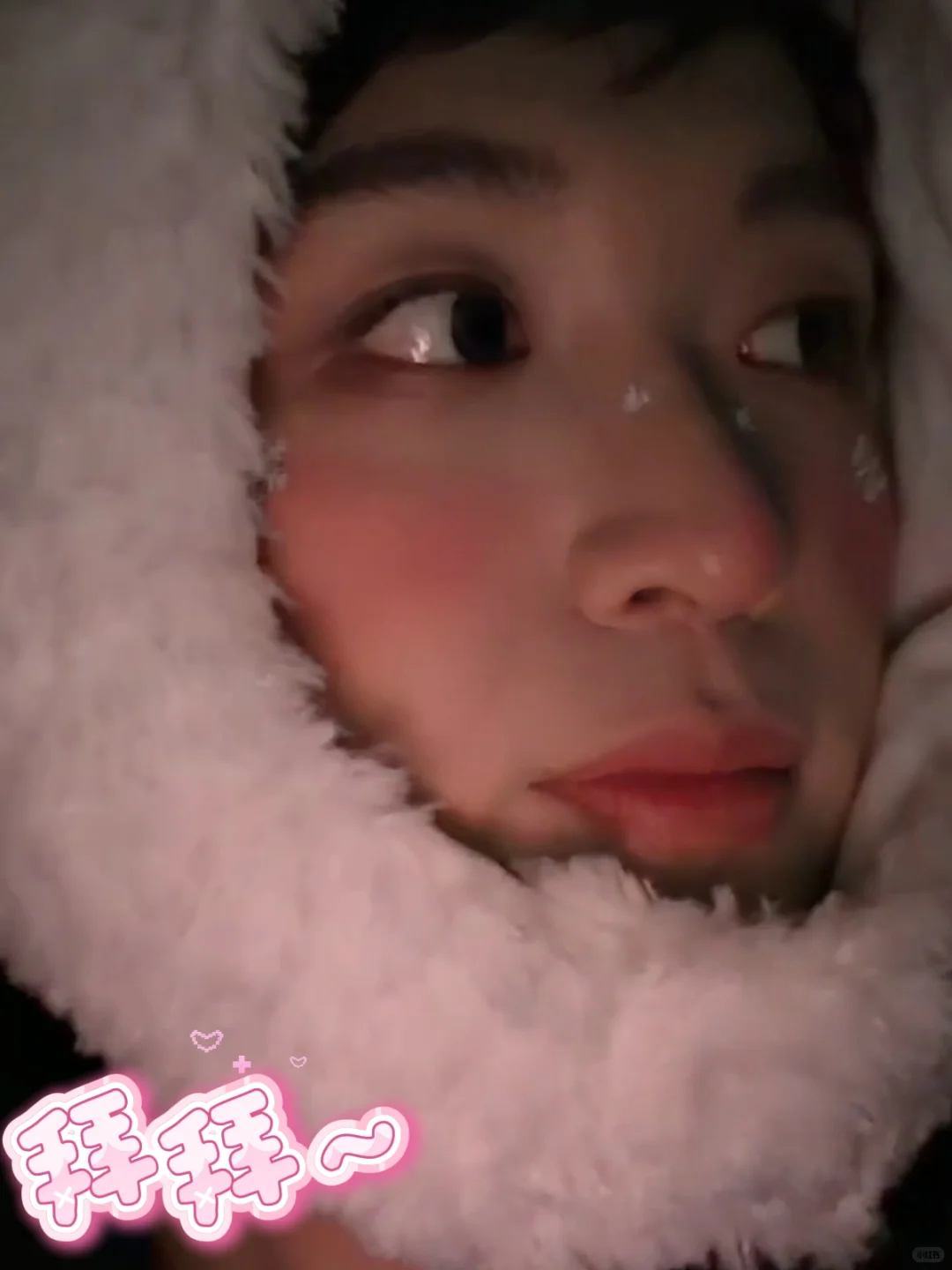 新鲜出炉表情包