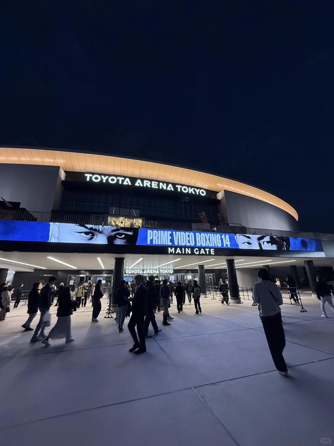 ﾐ^⸝⸝> ◦ <⸝⸝ ^ﾐ🎀