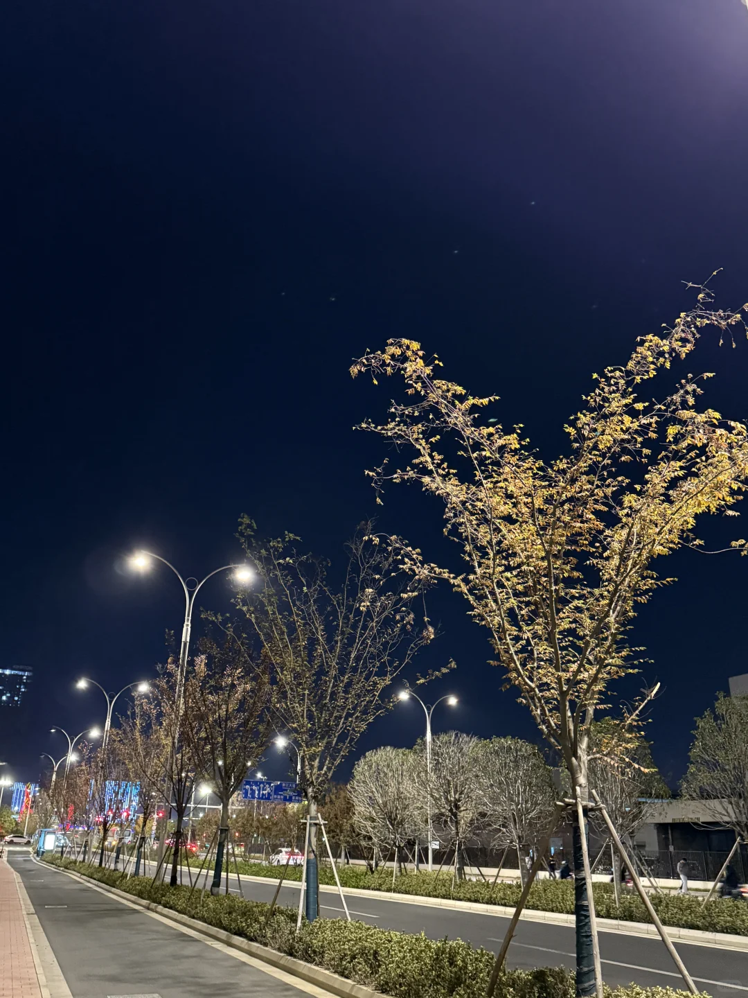 图片壁纸 分享随手拍