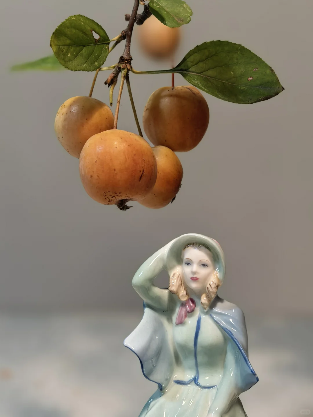 姣好佳人也太可爱了叭