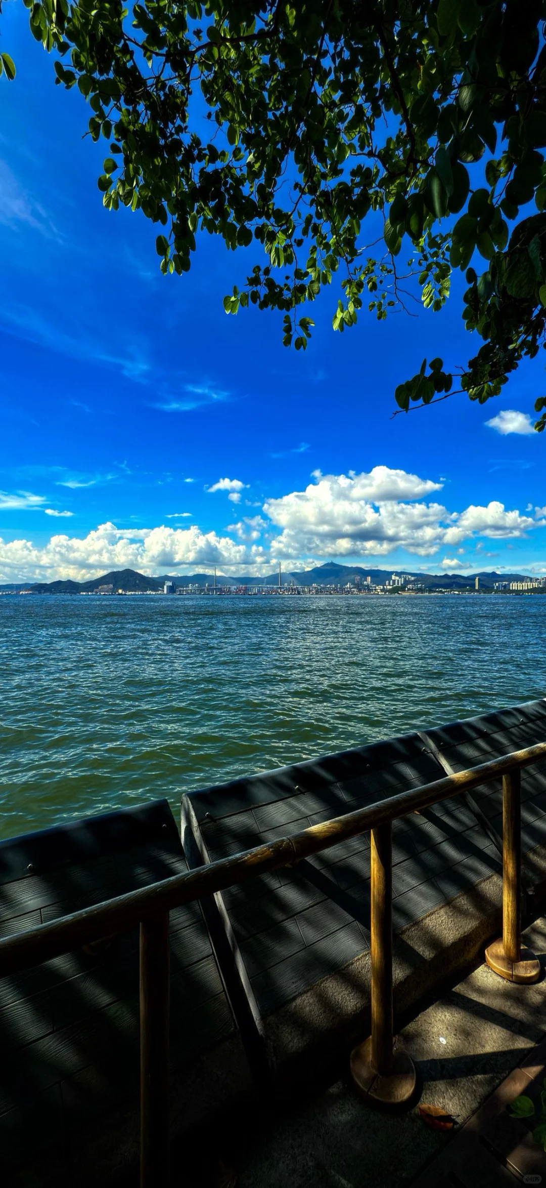 𝙎𝙝𝙖𝙧𝙚壁纸