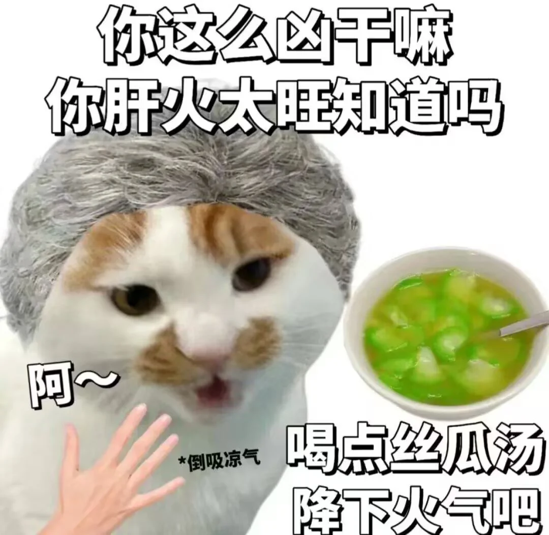 爆火表情包 | ＂火气太重,来喝丝瓜汤＂