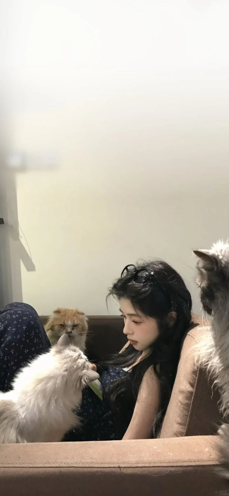 氛围感壁纸！高质量