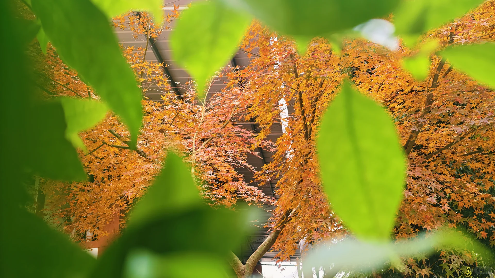 所以，焦虑的你，缺的是与自然的交融和互动