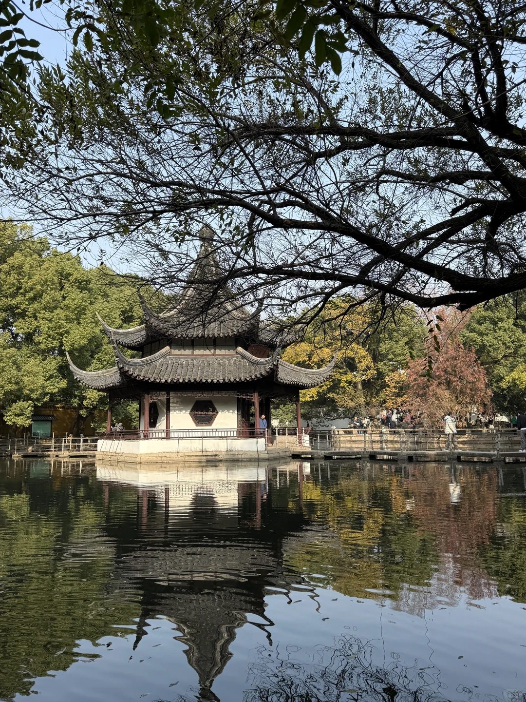 图片壁纸 分享随手拍