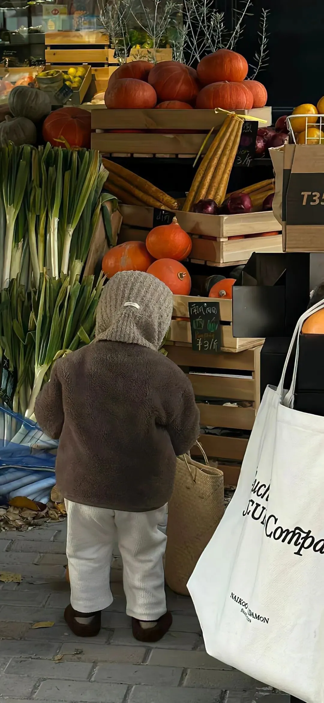 冬日氛围感4k手机壁纸