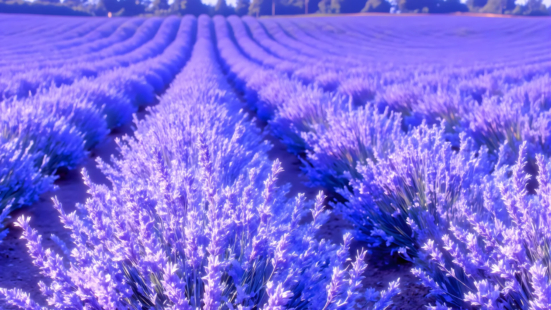 电脑壁纸 治愈篇-243【4k超清】