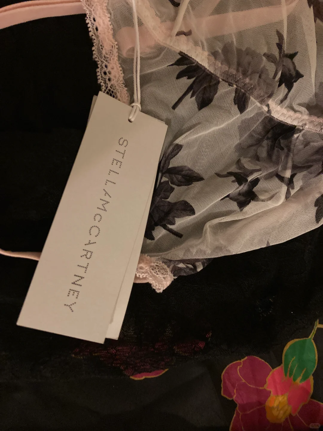 随便评欧洲内衣胸衣