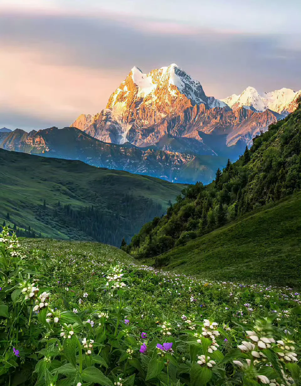 Wallpaper ｜平板裸眼3D高清壁纸