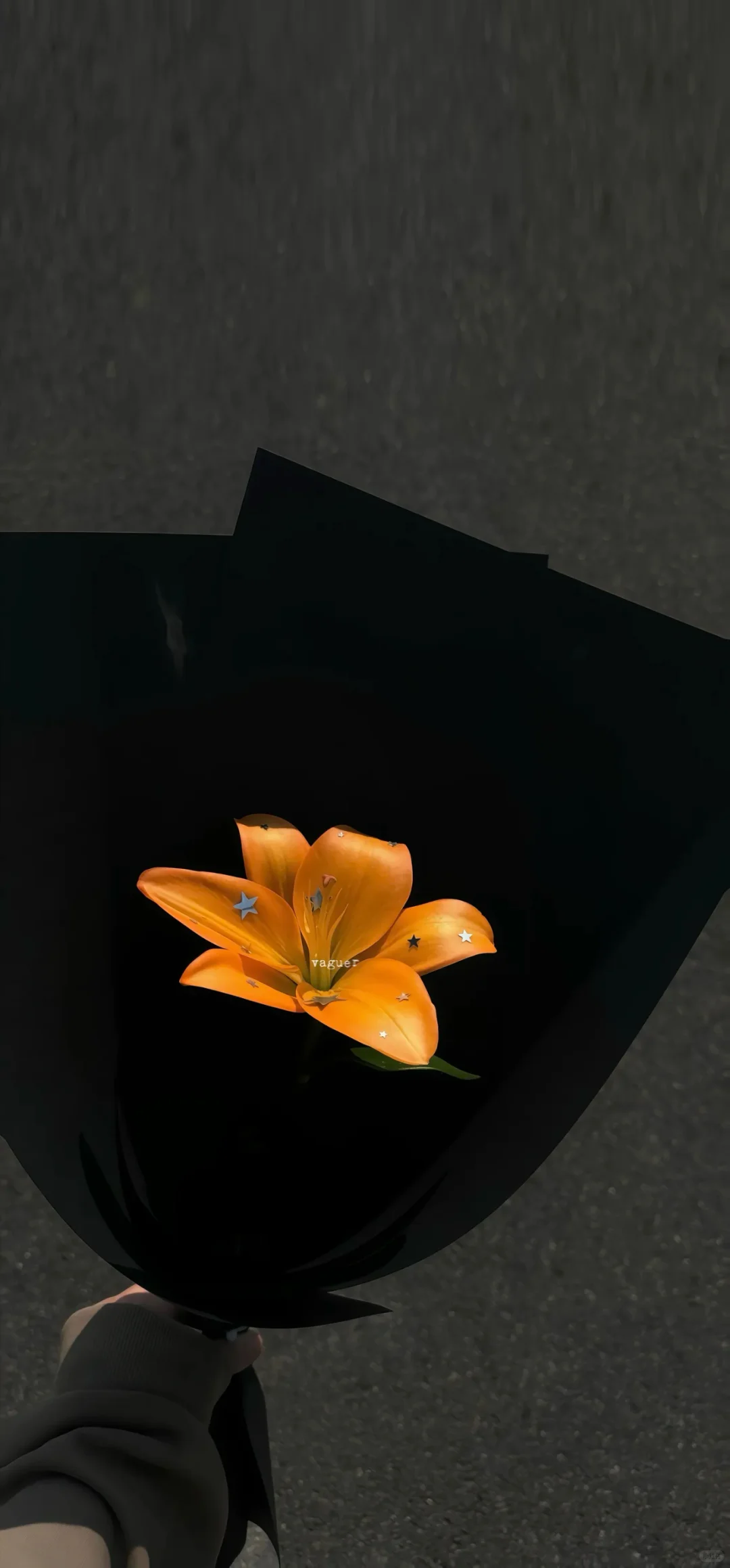 💒 𝐒𝐡𝐚𝐫𝐞｜黑白鲜花壁纸