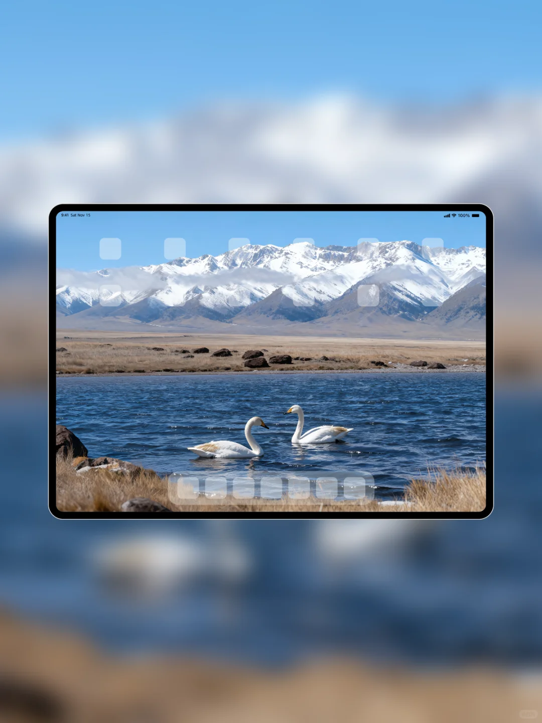 壁纸 S014 | 有一种蓝叫赛里木湖蓝