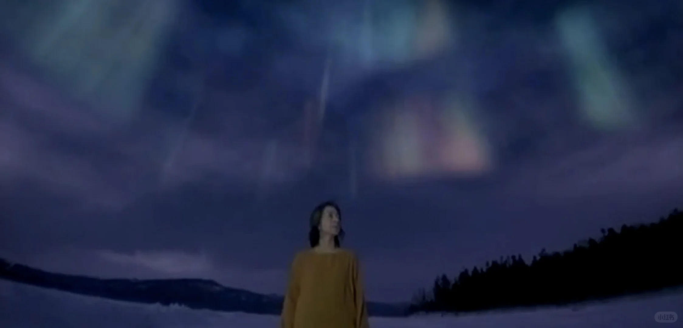 冰冷 逃离 婚姻 家庭 “虚荣”暴力 社会 女性