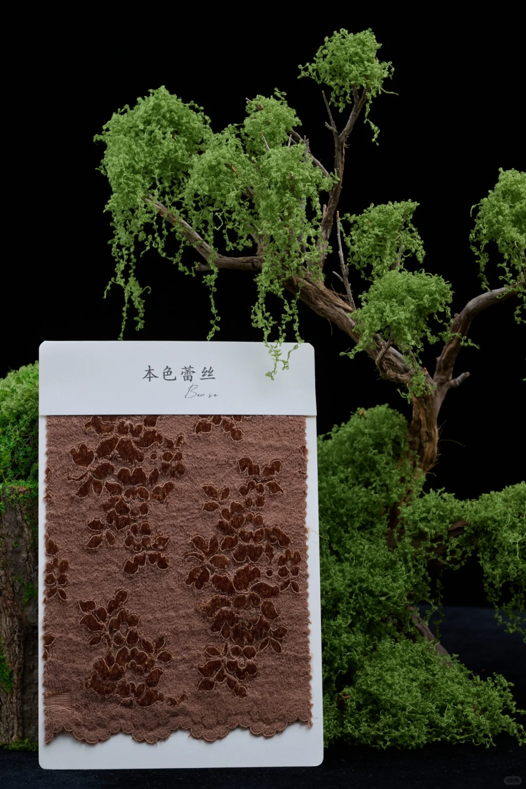 这种质感的花真的爱了|秋冬蕾丝的魅力✨