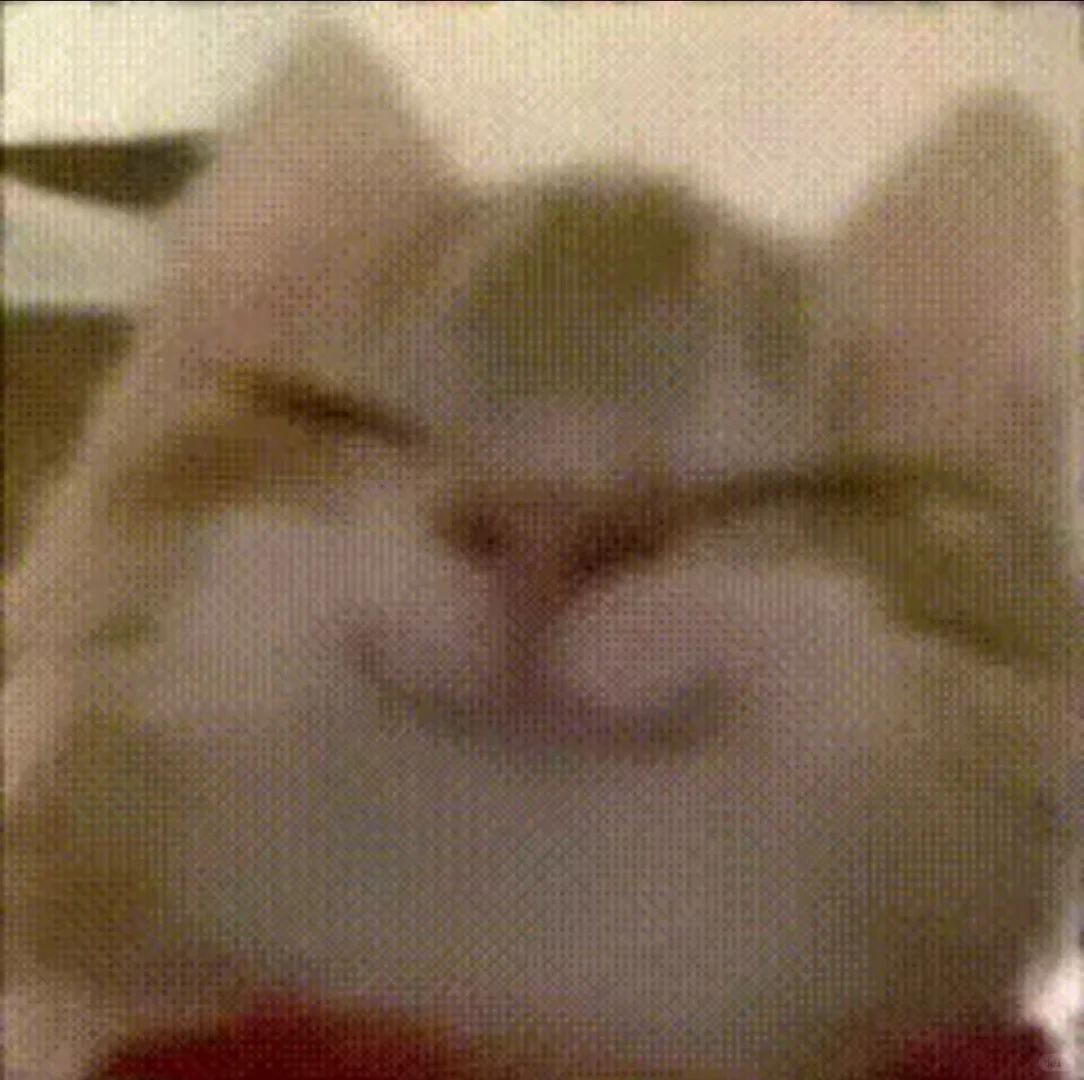 威海相亲自救🐾