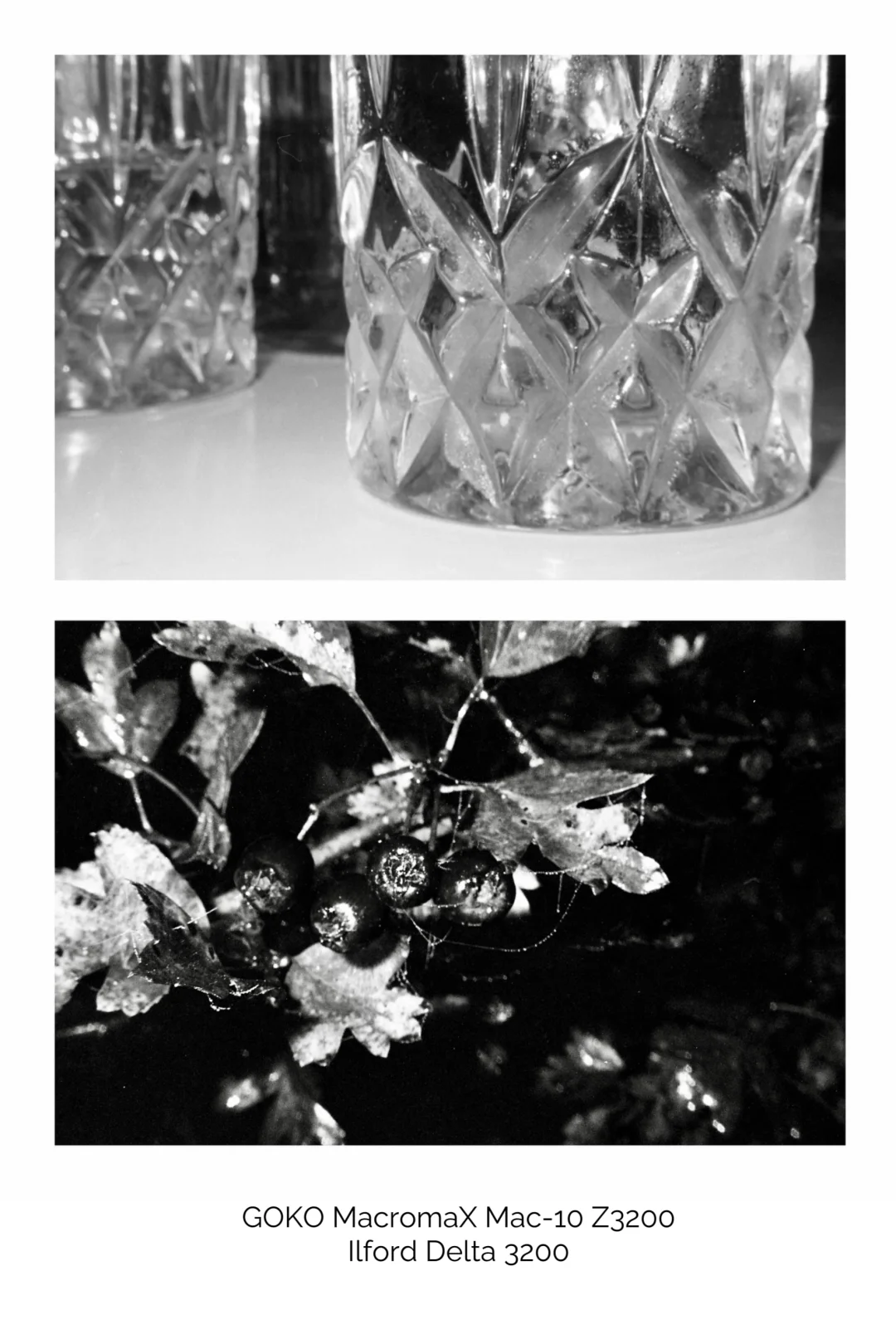 胶片傻瓜机拍私房🎞️亲密的那种