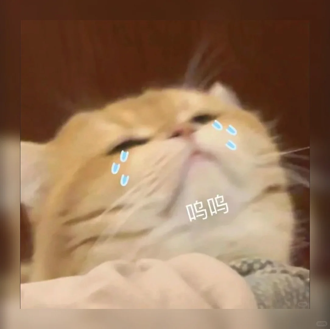 萌到犯规！🔥私藏99组治愈系聊天表情包，