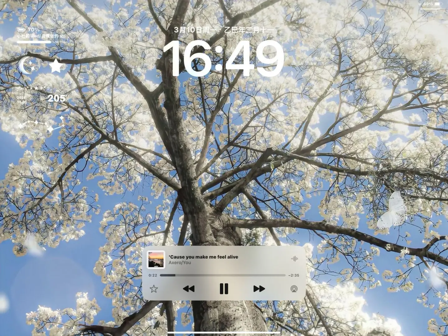 我想听的音乐，就在这树上🎶