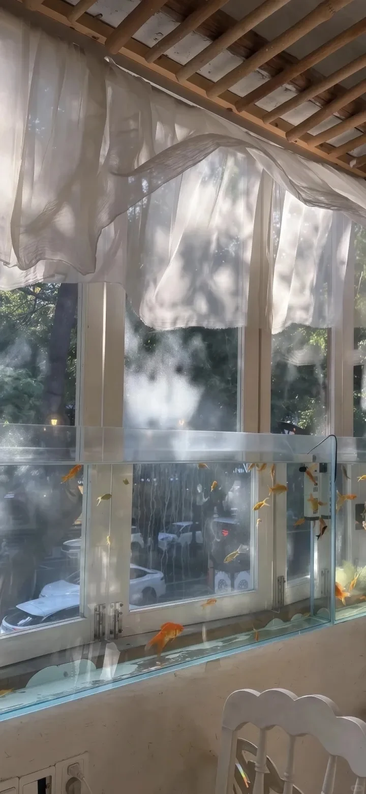 壁纸｜干净自由4K高清手机